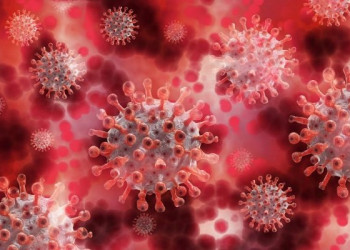 EUA pedem que OMS conduza 2ª fase de estudo sobre origem de vírus